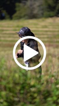 BIB:  <button type="button" onclick="openModal(26787221)" class="btn btn-primary btn-sm float-right" data-toggle="modal" data-target=".modal-high-quality">
                <i class="fa fa-download"></i> Download
                </button>